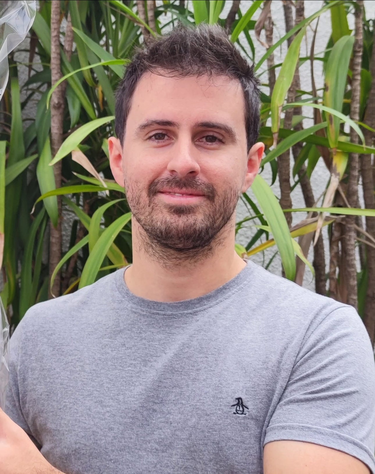 <em><strong>David S.</strong></em>